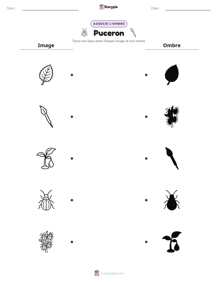 Correspondance d'Ombres