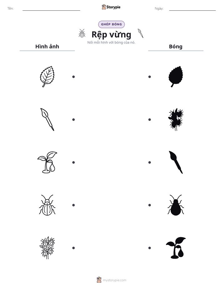 Ghép Hình Bóng