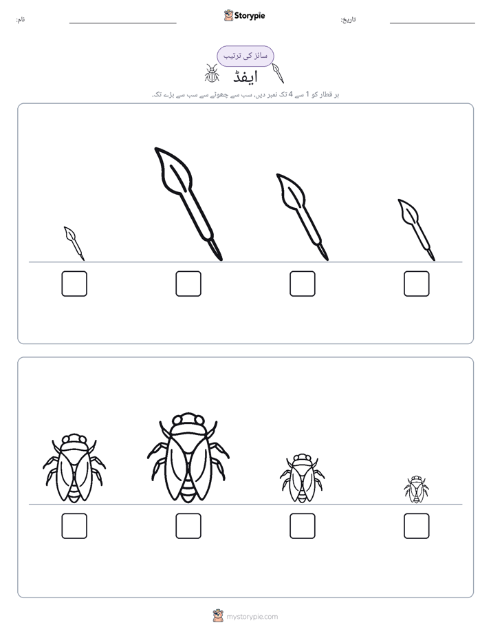 سائز کی ترتیب