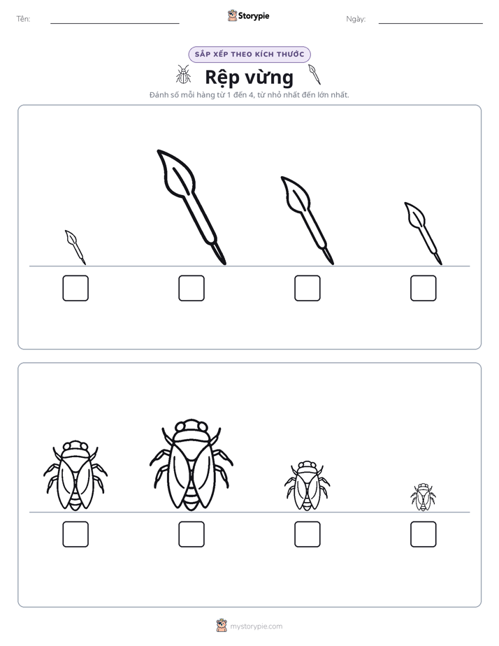Thứ Tự Kích Thước