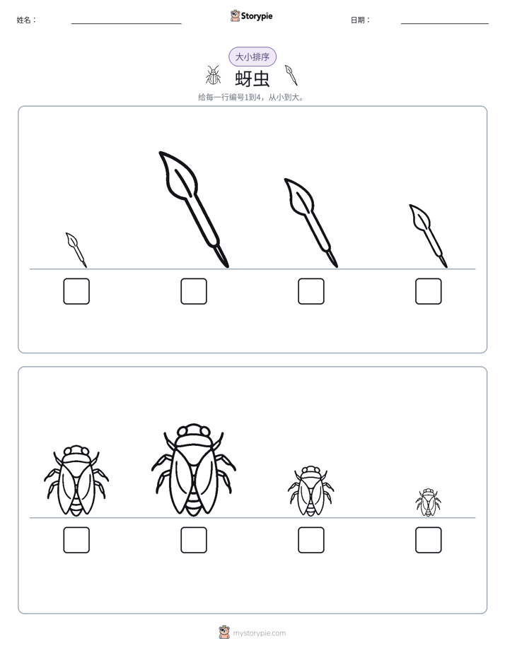 大小排序