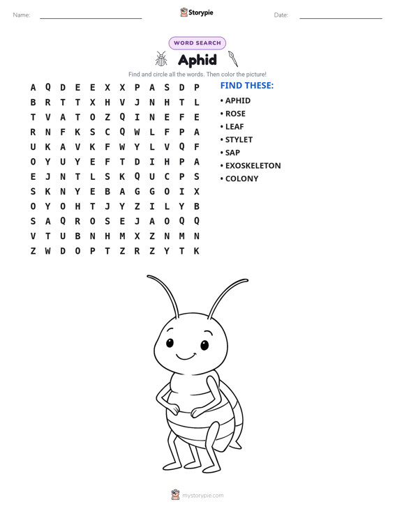 Word Search
