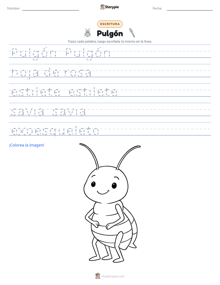 Práctica de Escritura