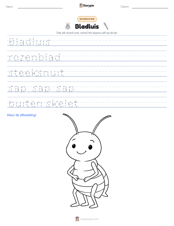 Schrijf Oefening
