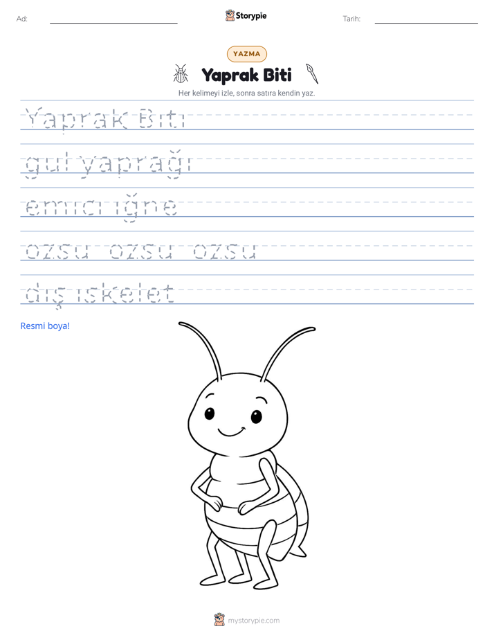 Yazma Pratiği