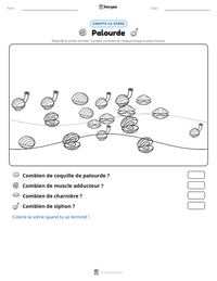 Aperçu de la feuille de travail imprimable Palourde