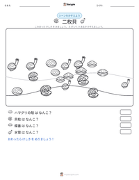 二枚貝 の印刷可能ワークシートプレビュー