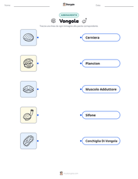 Anteprima della scheda stampabile di Vongola