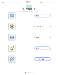 二枚貝 の印刷可能ワークシートプレビュー