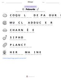 Aperçu de la feuille de travail imprimable Palourde