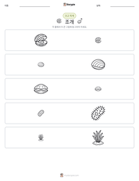 조개 인쇄 가능한 워크시트 미리보기