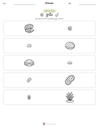 క్లామ్ ముద్రించదగిన పని పత్రం ప్రివ్యూ
