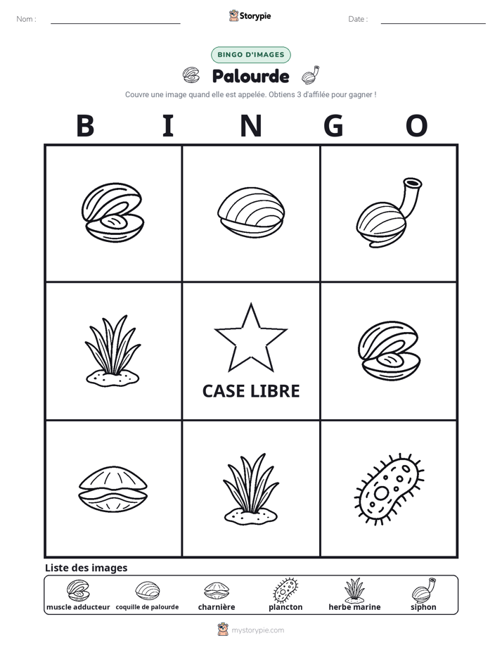 Bingo d'Images