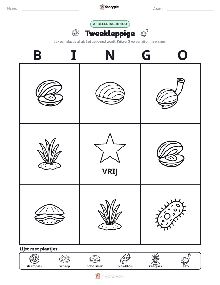 Afbeelding Bingo