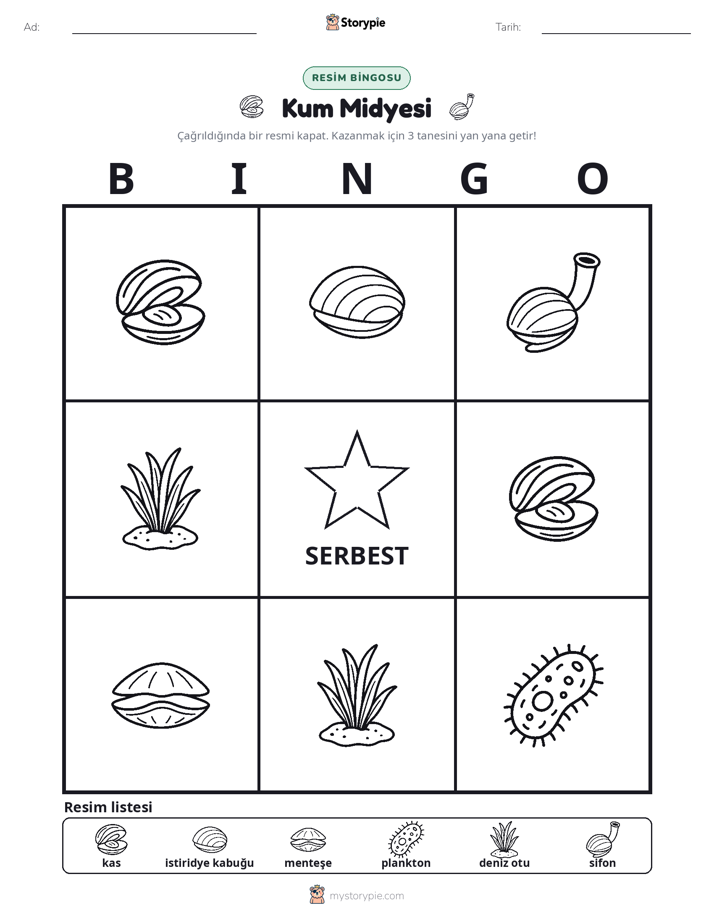 Resim Bingo