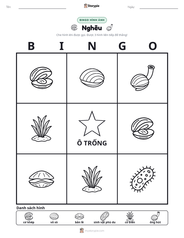 Bingo Hình Ảnh