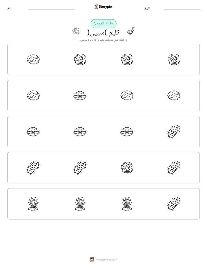 عجیب ایک