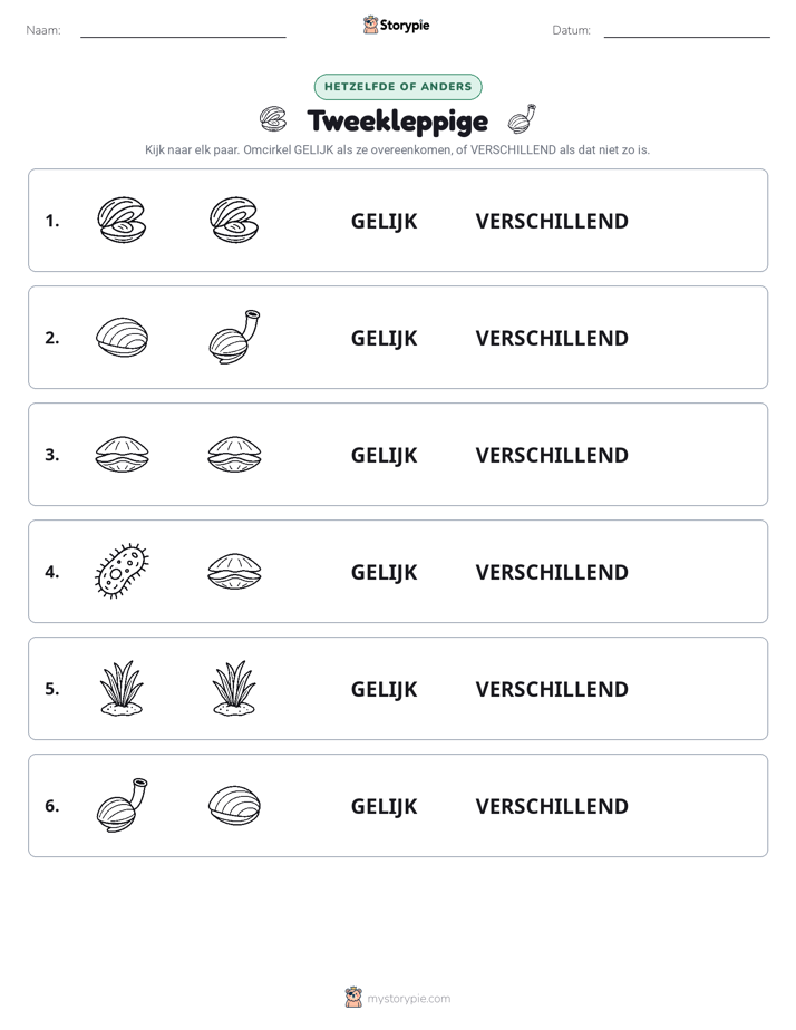 Zelfde of Verschillend