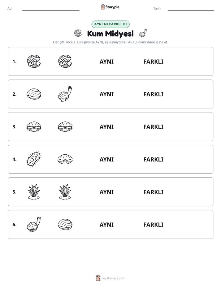 Aynı mı Farklı mı