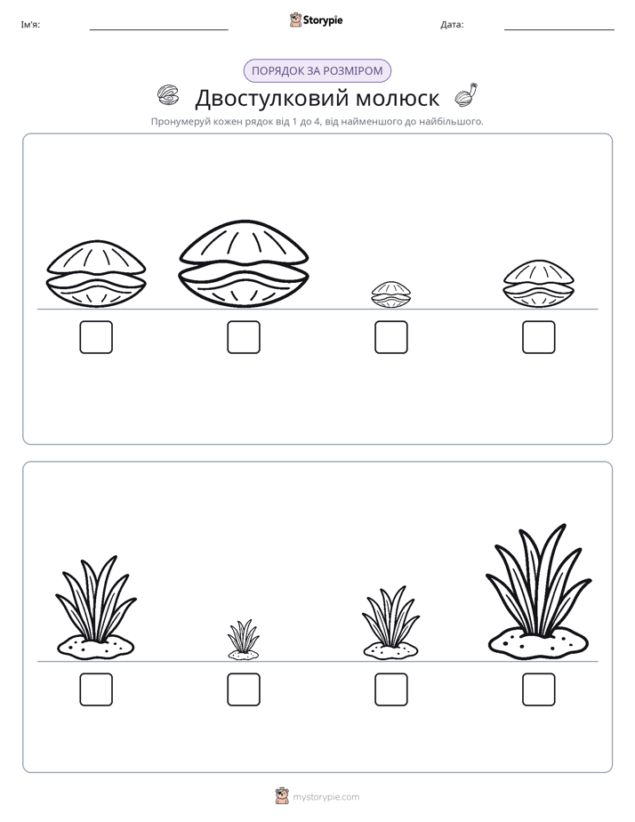 Порядок Розміру