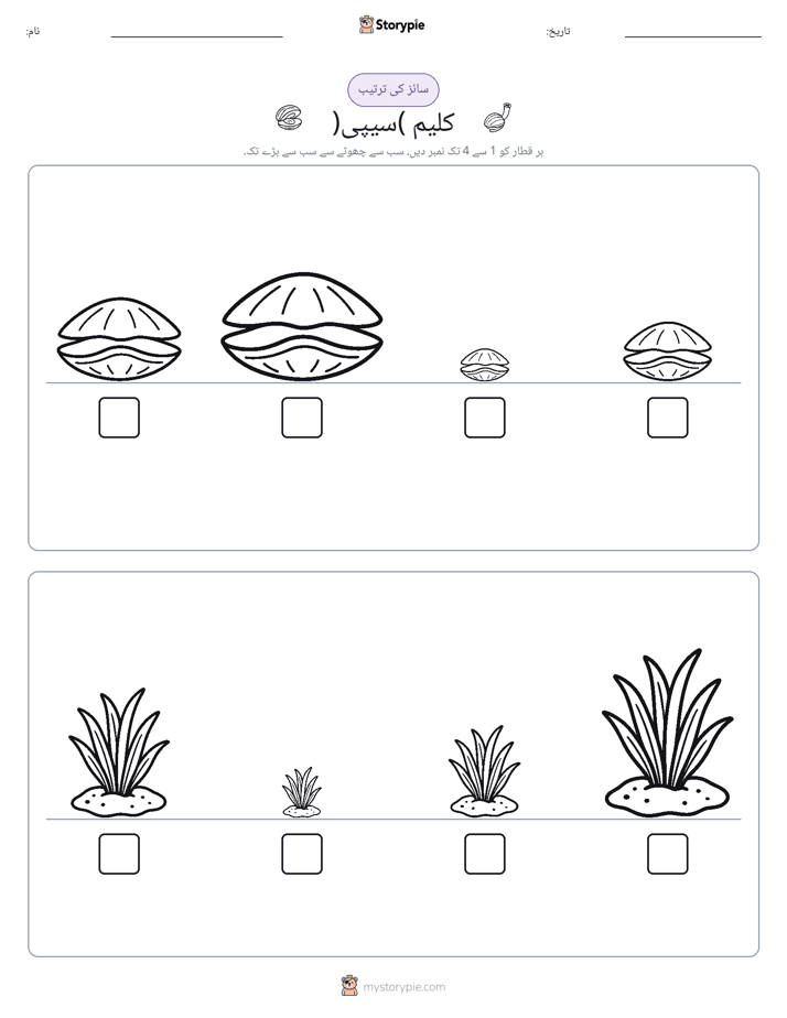 سائز کی ترتیب