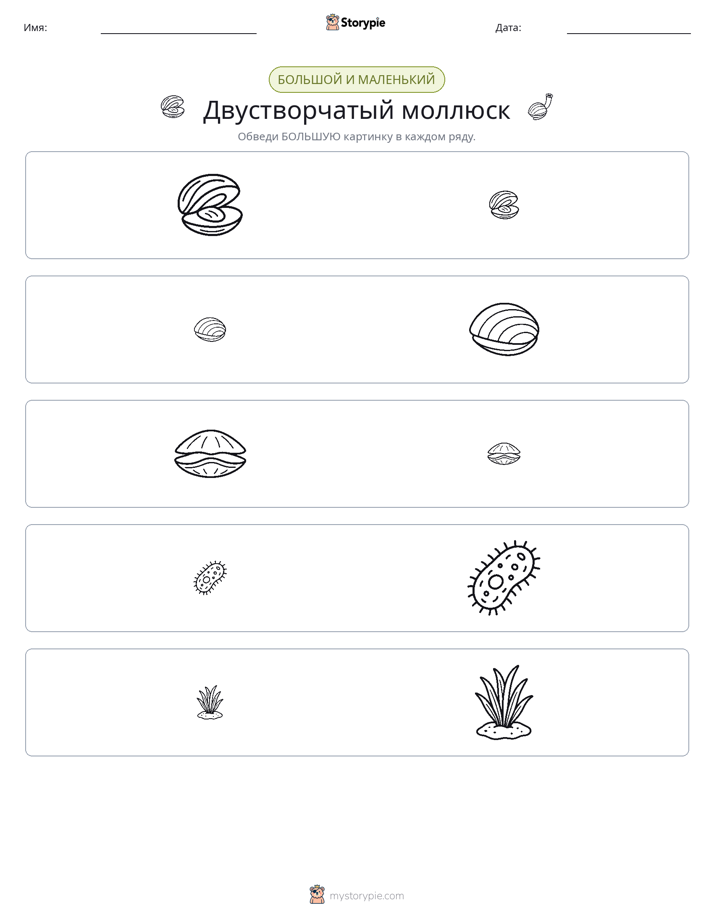 Сортировка