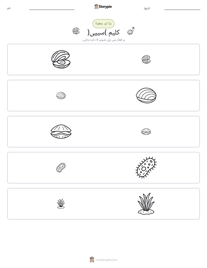 ترتیب دینا
