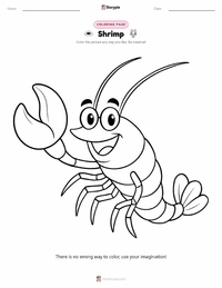 Shrimp coloring page for kids