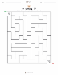 Shrimp printable worksheet preview