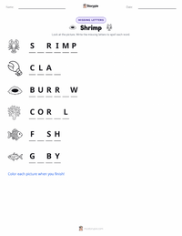 Shrimp printable worksheet preview