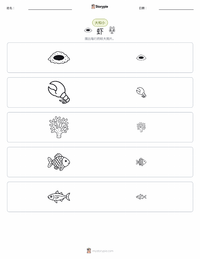 鼓虾（枪虾） 可打印工作表预览