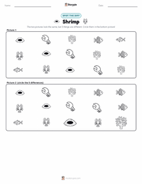 Shrimp printable worksheet preview
