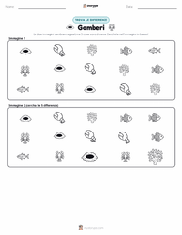 Anteprima della scheda stampabile di Gambero Pistola (Alpheidae)