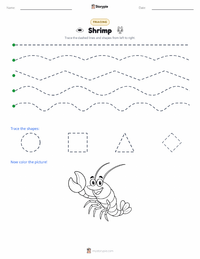 Shrimp printable worksheet preview