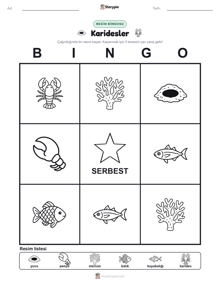 Resim Bingo