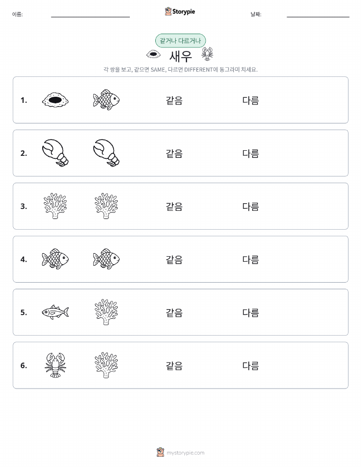 같은 것 또는 다른 것