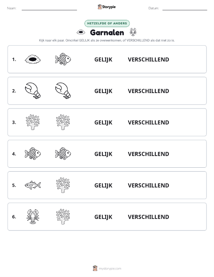 Zelfde of Verschillend