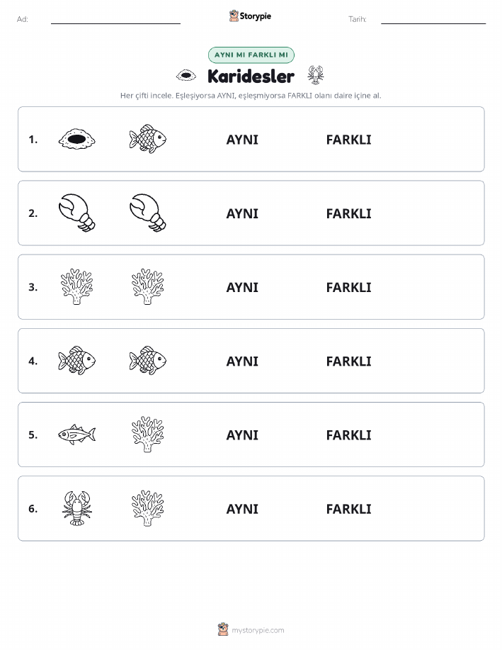 Aynı mı Farklı mı