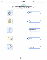 পাতাযুক্ত সমুদ্র-ড্রাগন মুদ্রণযোগ্য কাজের পৃষ্ঠা শিশুদের জন্য