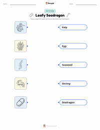 Leafy Seadragon printable worksheet for kids