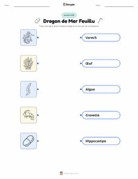 Feuille de travail imprimable Dragon de mer feuillu pour les enfants