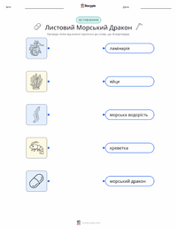Листяний морський дракон роздруківка для дітей
