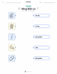 Tài liệu in sẵn Cá rồng biển lá cho trẻ em