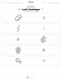 Leafy Seadragon printable worksheet preview