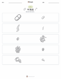 叶海龙 可打印工作表预览