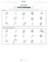 Leafy Seadragon printable worksheet preview