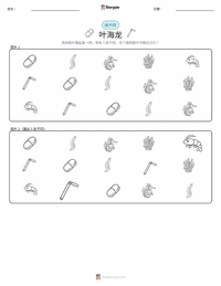 叶海龙 可打印工作表预览