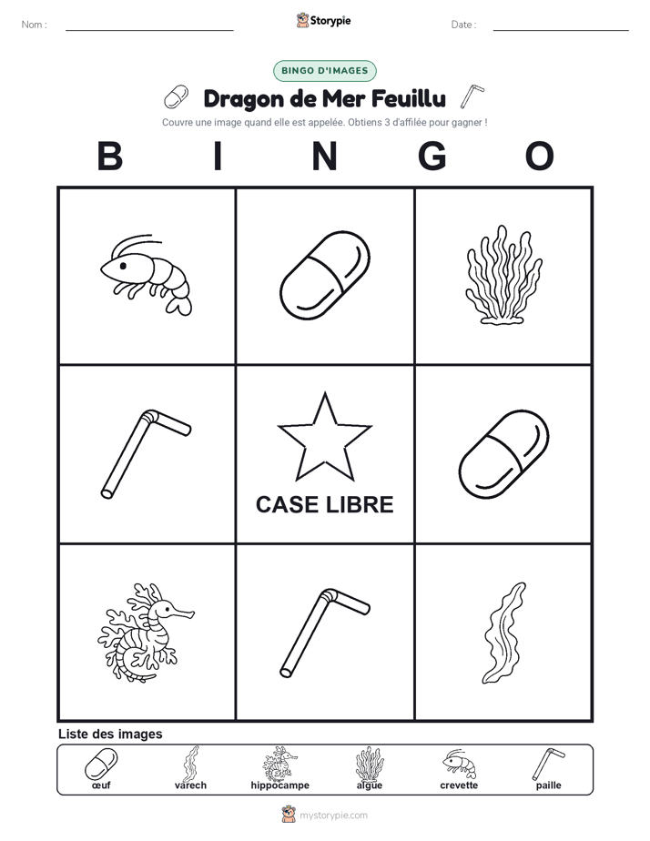 Bingo d'Images