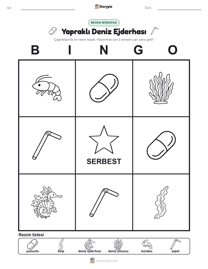 Resim Bingo
