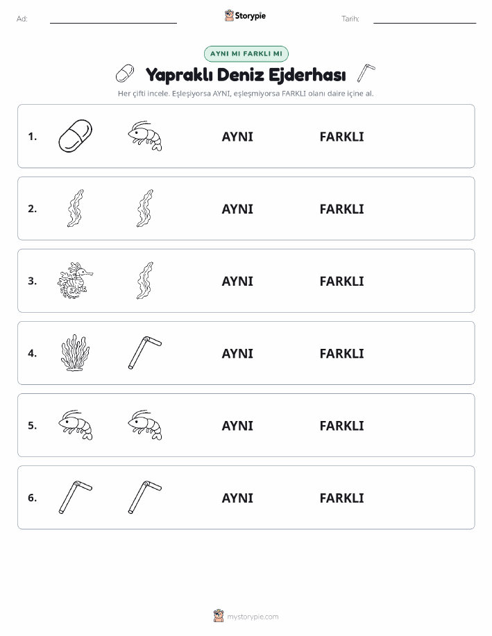 Aynı mı Farklı mı